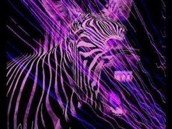Image for abrakazebra