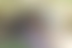 26b331c1d1922ae015980adfdd92ddf136dbcdb4