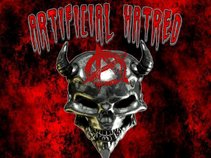 Artificial Hatred