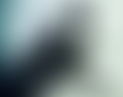 1385011609 dsc 0252 2 copy wm blurred