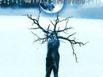 Perfect evolution - INNERSOUND RECORDS