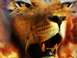 Image for Brian Aberle