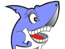 Bobshark
