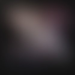 1442712032 the broken cover art