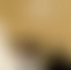 1308789663 lo cover 01 crop