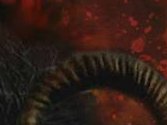 HollowBorn