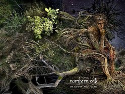 Image for Northern Oak