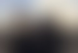 1438577343 whh pressphoto 2015