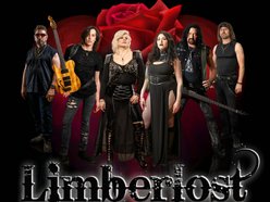 Image for Limberlost