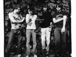Image for The Satin Peaches