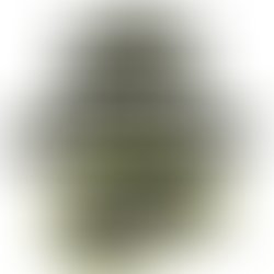 C5431003d5157bd8dcebdd58255c4e7ec67e1208