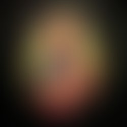 Capital american flag collage 1 