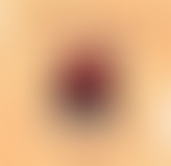 88ac3dce 0d12 4c53 95de bc474be6c418