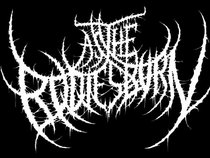 As The Bodies Burn