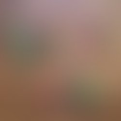 Tunecore violet bell cover