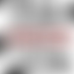 Half black evolution