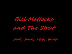 Image for THE BILL MATTOCKS BAND