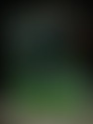 13680822 309654329375709 7270748640202089475 n