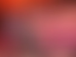 2018 sdrr hall of fame