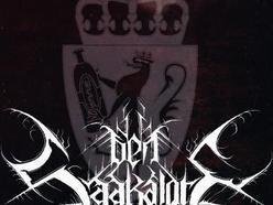 Image for Den Saakaldte