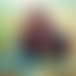 1407015131 tnt cdcvr onlinedist 2