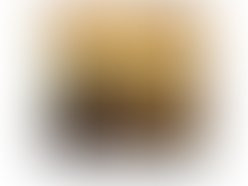 Albumcover2005 102205