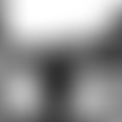 16708686 263996687375405 2947817882432052669 n