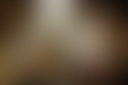 Hires bluehoney 2017 0425 attic 189 logo 1