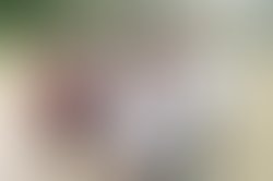 1455663533 00 ko 171 edited small