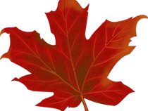 Lez Music/Jeune Nation Canada