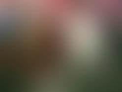 29311 394498654274 633399274 3984309 617927 n