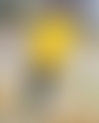 Artist 5089891 1545899950