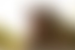 Socialmediarectangle