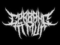 Imperium Band