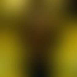 2308a32109aa721bdf1e55ebc48d9f744a8dd72e