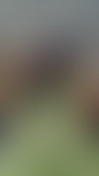 C4ac15d4 ad9f 4805 b463 0c431387b531