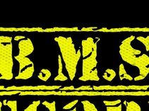 B.M.S. RECORDS