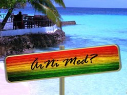 Musikkollektivet Halvhemligt