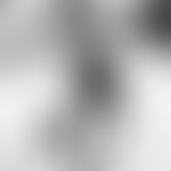 7a37f1b9 bb7d 4c88 842f 3347dcdefccb