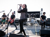 NIU DE BORN