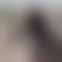 20525238 471648626532469 7694747007599686181 n