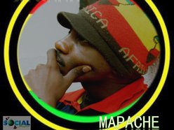 MAPACHE