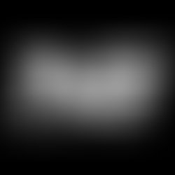Ng2010 square 1264782751