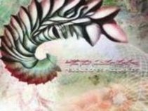 HETEROGENESIS - Revoluciones Maquinicas - DARK PRISMA RECORDS