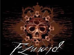 Image for Fluwid