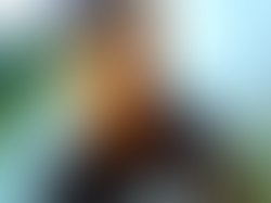 15740787 333170700409472 9115012946102919650 n