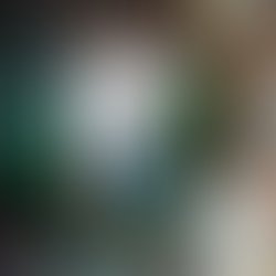 Artist 5159379 1728239672