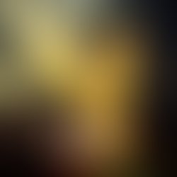 1372634216 cover hi rez