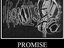 Promise