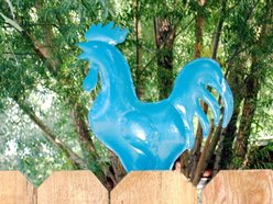 Image for Blue Rooster Band